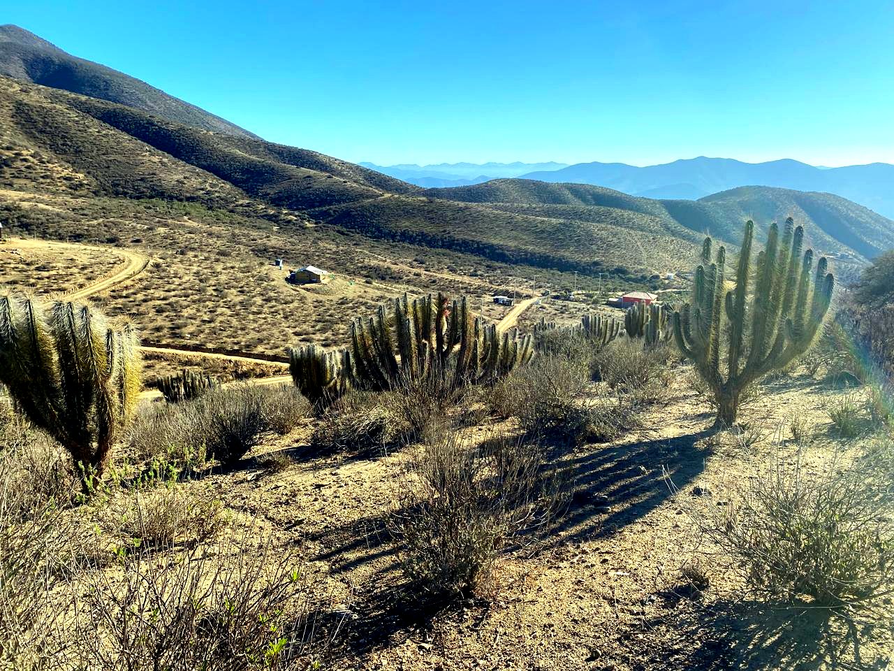 Vista real de las parcelas de Altos del Rosario en el Valle del Elqui, Chile